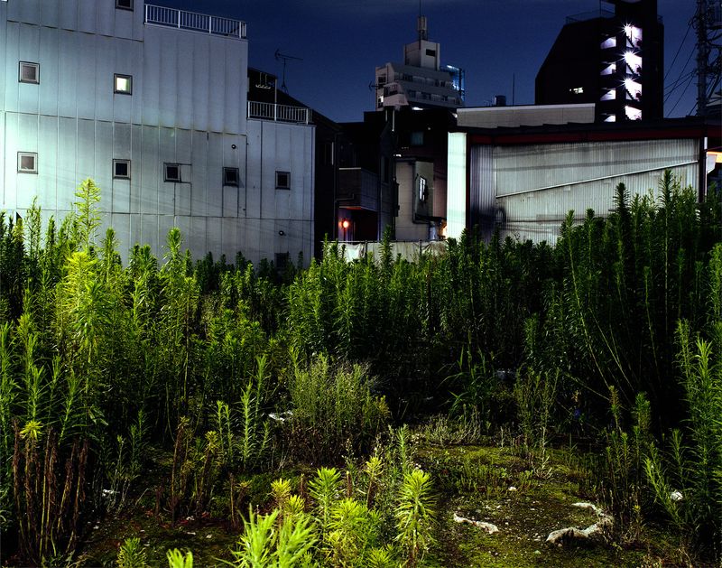 © Kazuya Urakawa - Image from the Places of Amnesia photography project