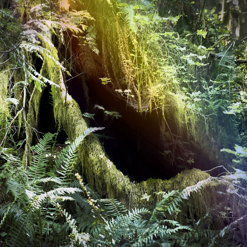 © Julianna Foster - Image from the Geographical Lore photography project