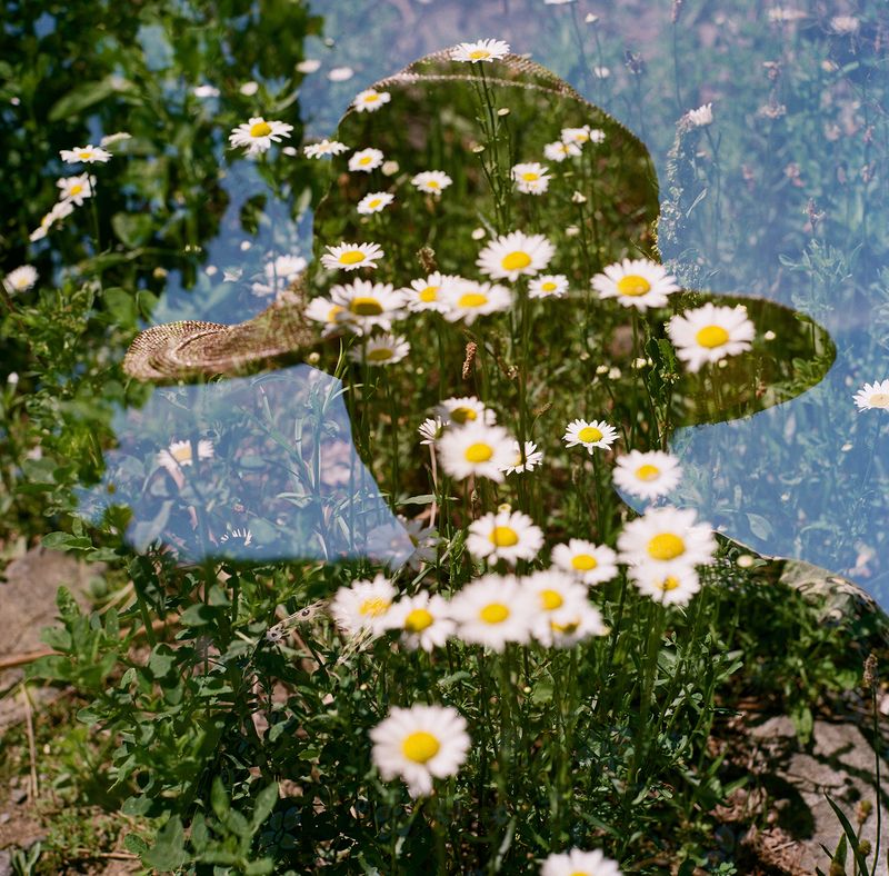 © Jeremiah Dine - Mono No Aware, 2021