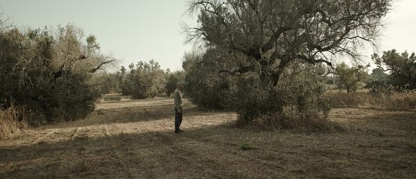 © sauro errichiello - Image from the STRANIAMENTO photography project