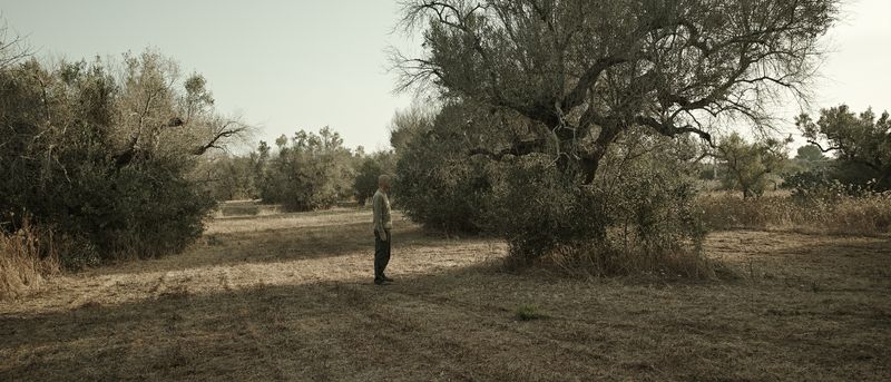 © sauro errichiello - Image from the STRANIAMENTO photography project