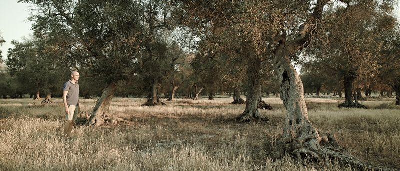 © sauro errichiello - Image from the STRANIAMENTO photography project