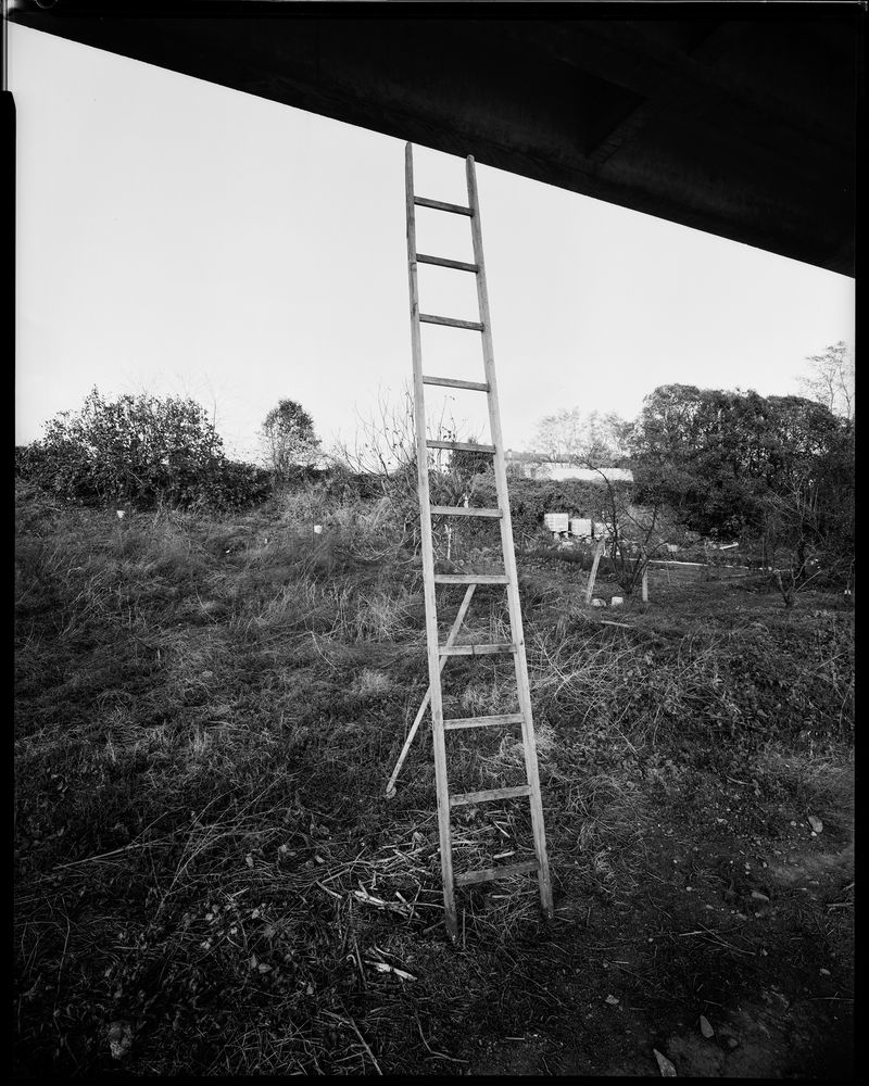 © sauro errichiello - Image from the AN ESCAPE ROUT / una via di fuga photography project