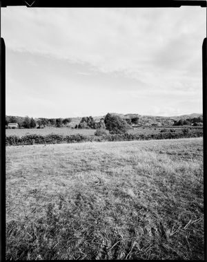 AN ESCAPE ROUT / una via di fuga