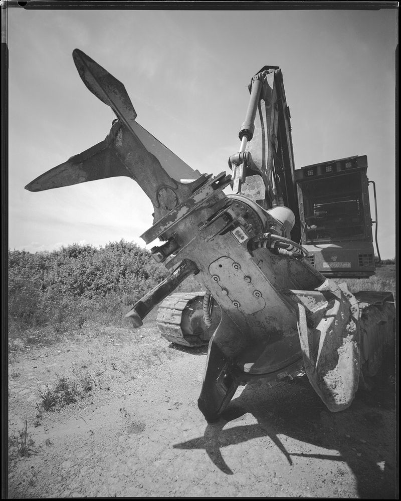 © sauro errichiello - Image from the River Trees Piles photography project