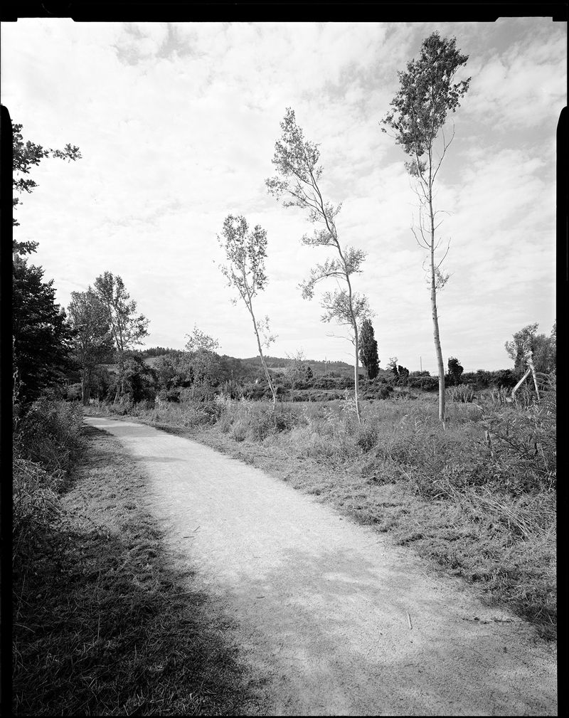 © sauro errichiello - Image from the River Trees Piles photography project