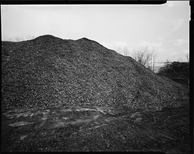 © sauro errichiello - Image from the River Trees Piles photography project