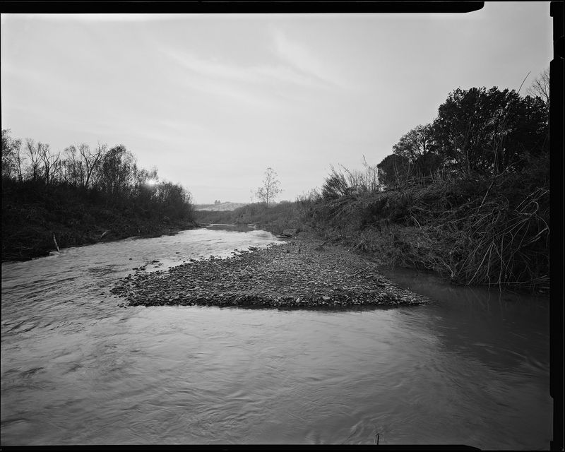 © sauro errichiello - Image from the River Trees Piles photography project