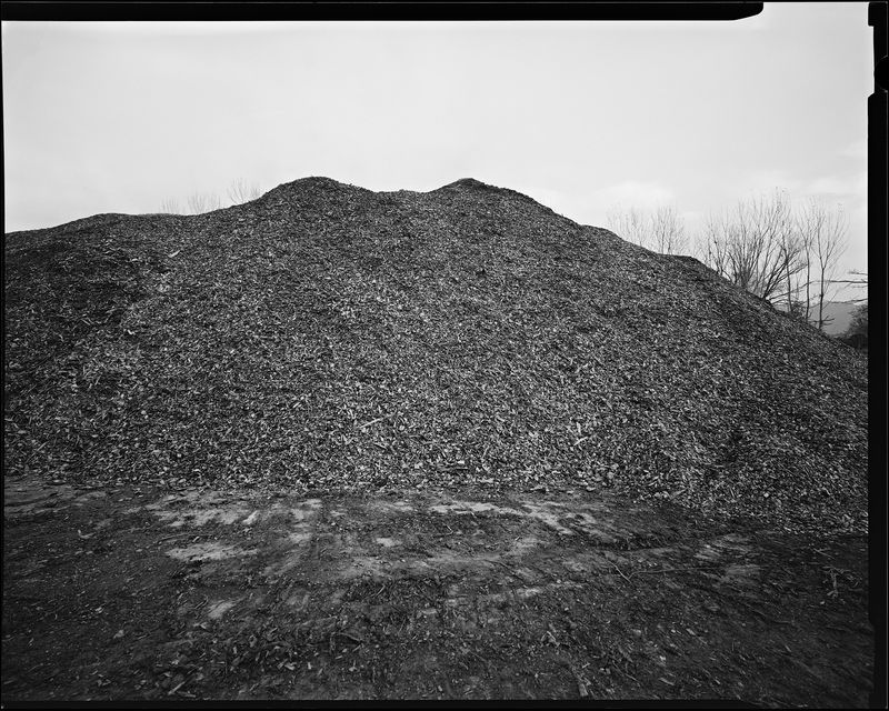 © sauro errichiello - Image from the River Trees Piles photography project