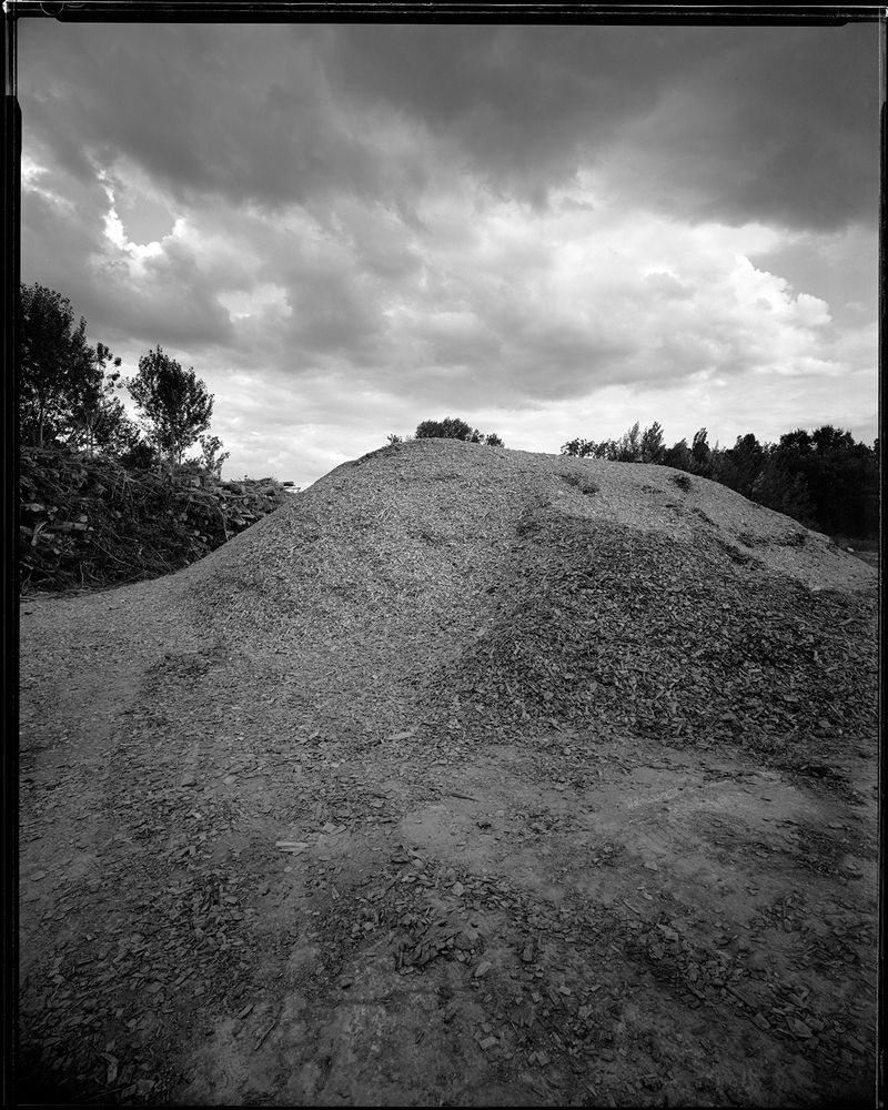 © sauro errichiello - Image from the River Trees Piles photography project