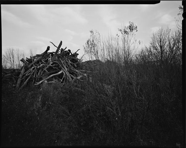 © sauro errichiello - Image from the River Trees Piles photography project