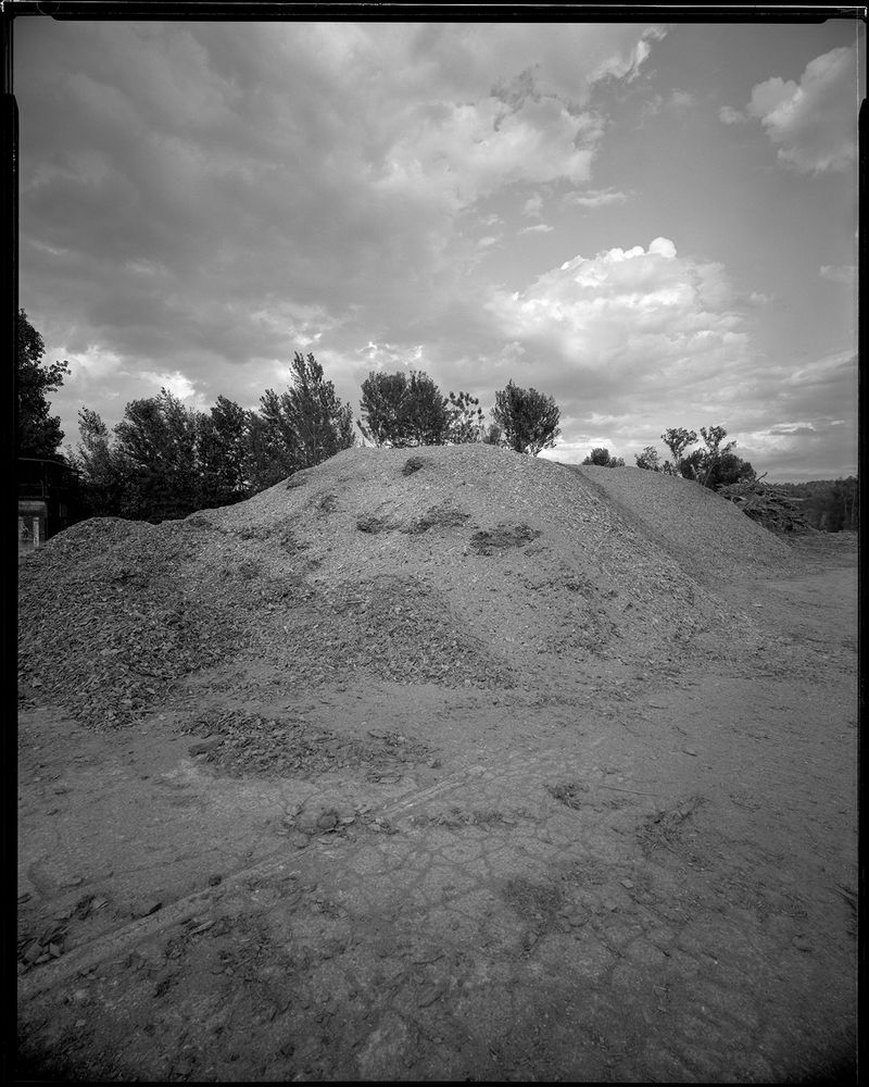 © sauro errichiello - Image from the River Trees Piles photography project