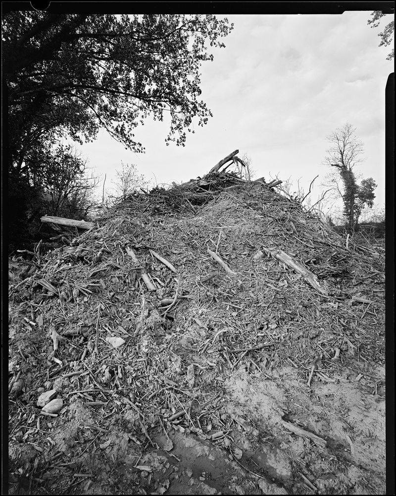 © sauro errichiello - Image from the River Trees Piles photography project