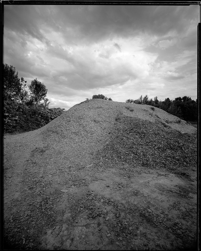 © sauro errichiello - Image from the River Trees Piles photography project