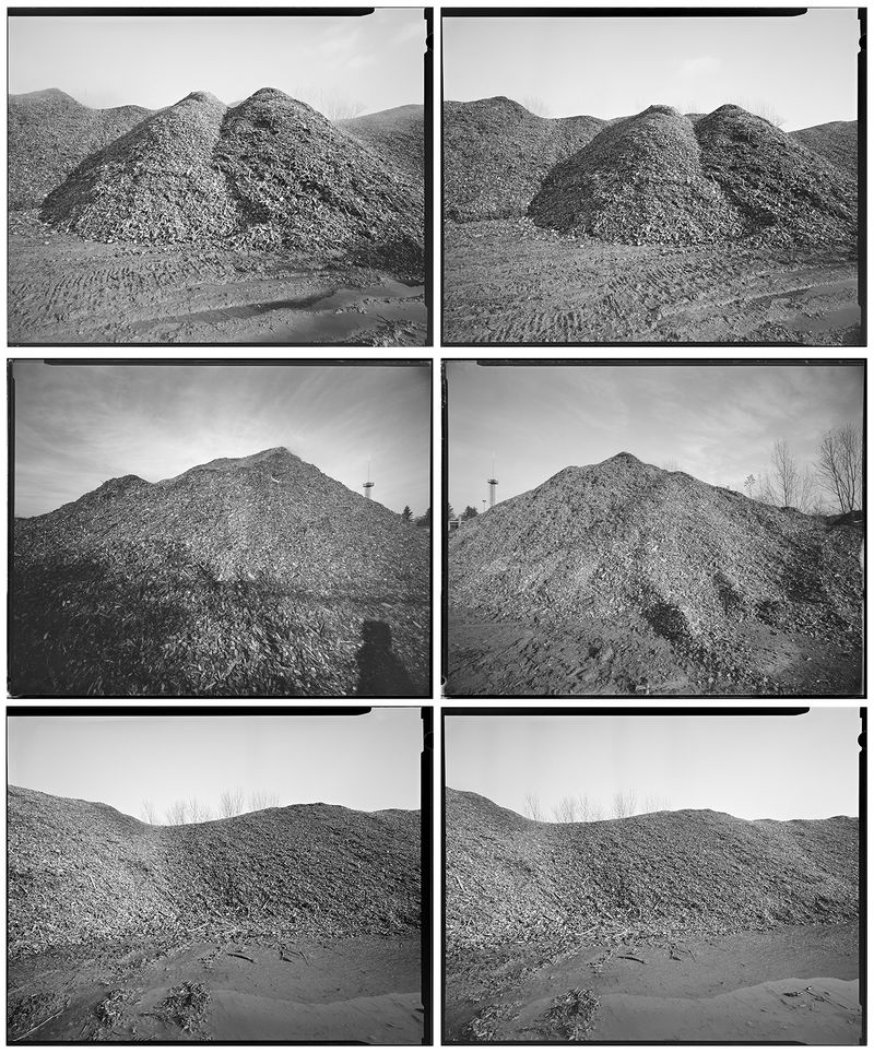 © sauro errichiello - Image from the River Trees Piles photography project