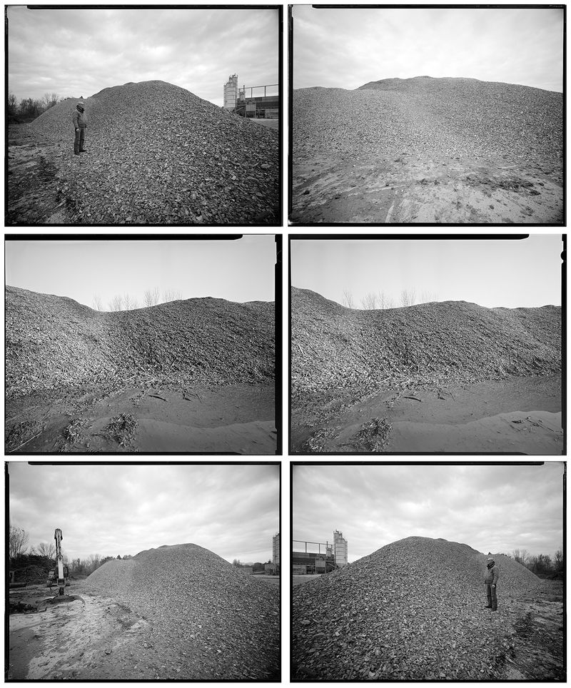 © sauro errichiello - Image from the River Trees Piles photography project