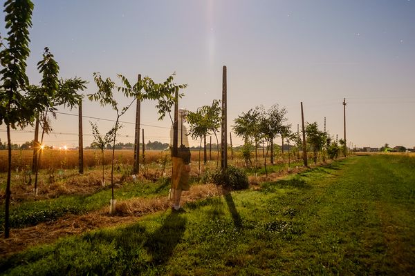 © sauro errichiello - Image from the SONO PAESAGGIO photography project