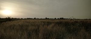 INTRESTELLAR ricerca di nuovi mondi