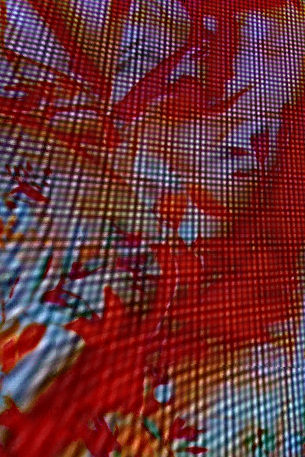 © Q - Xtreme Sighting no.7 - “Advertising display” Shanghai, China (2020)