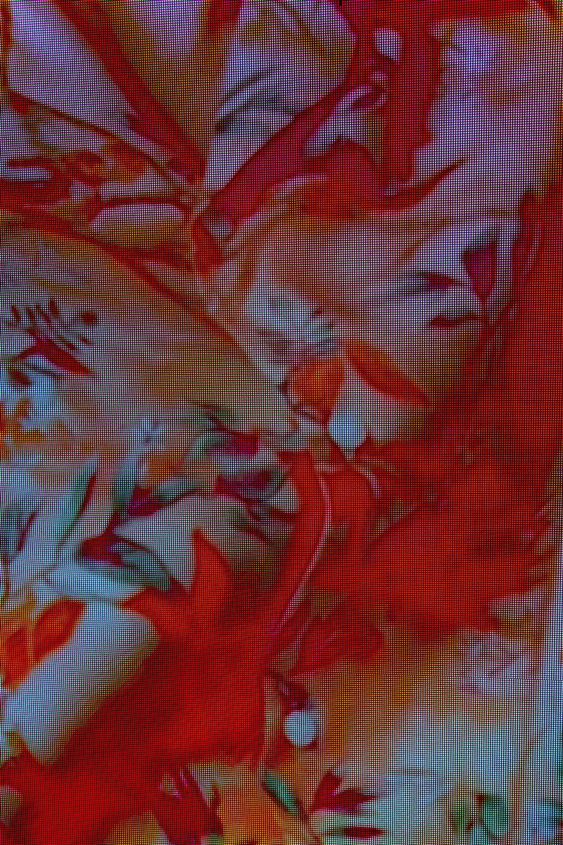 © Q - Xtreme Sighting no.7 - “Advertising display” Shanghai, China (2020)