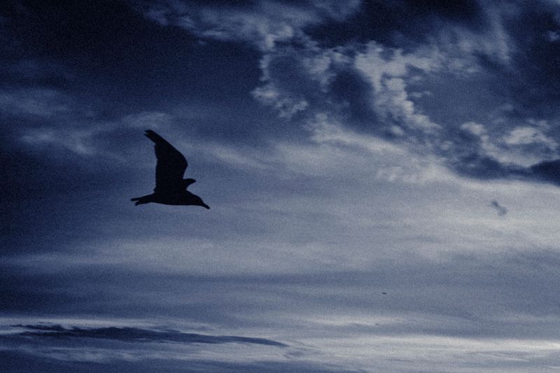 © Jake Maline - Image from the Where Do We Go When We Dream? photography project