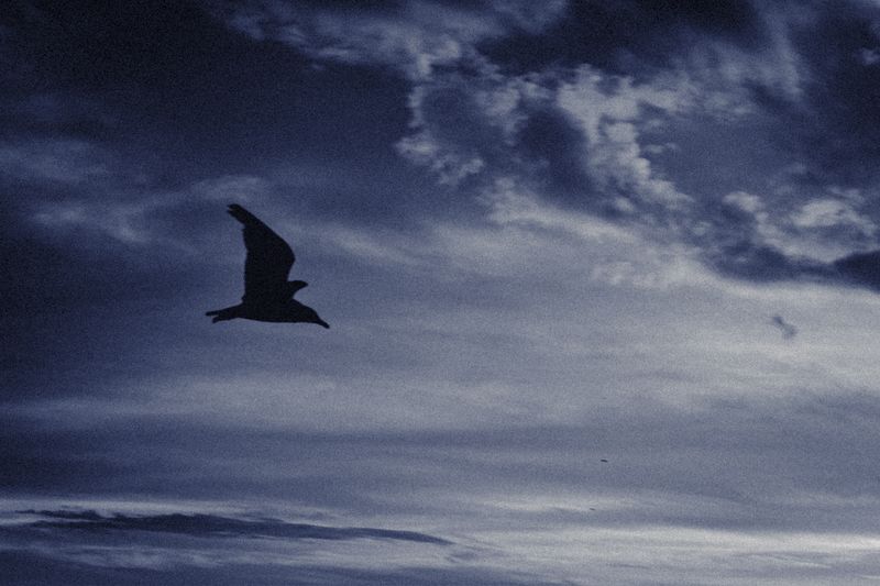 © Jake Maline - Image from the Where Do We Go When We Dream? photography project