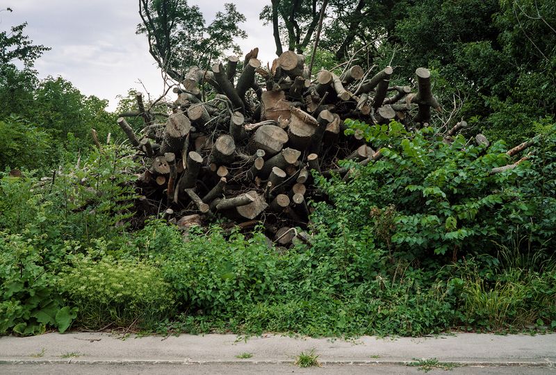© David Johnson - Berlin, Tiergarten201724 x 16.5 InchesArchival Pigment Print Edition of 4 with one Artist Proof