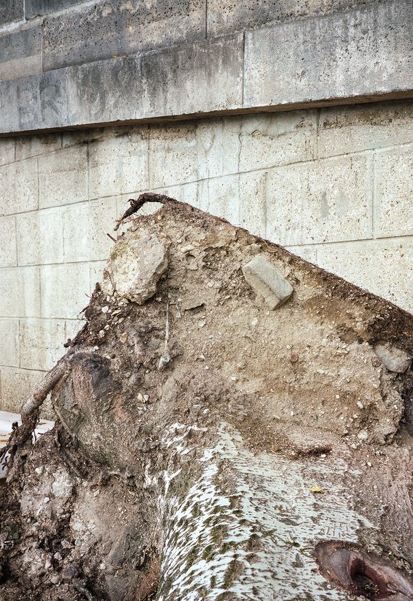 © David Johnson - Paris, Parc Rives de Seine202116.5 x 24 InchesArchival Pigment Print Edition of 4 with one Artist Proof