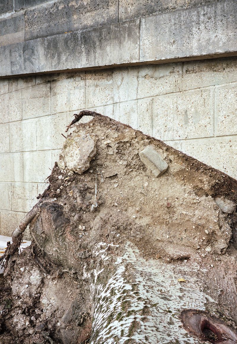 © David Johnson - Paris, Parc Rives de Seine202116.5 x 24 InchesArchival Pigment Print Edition of 4 with one Artist Proof