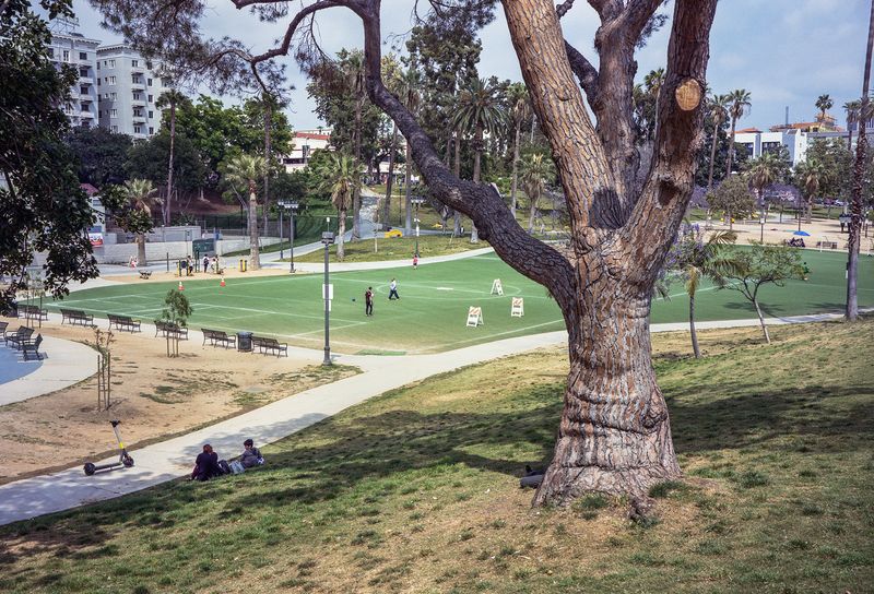 © David Johnson - Los Angeles, MacArthur Park202324 x 16.5 InchesArchival Pigment Print Edition of 4 with one Artist Proof