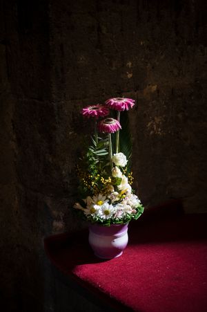 PEACOCK BLUES The Armenian Yazidis.