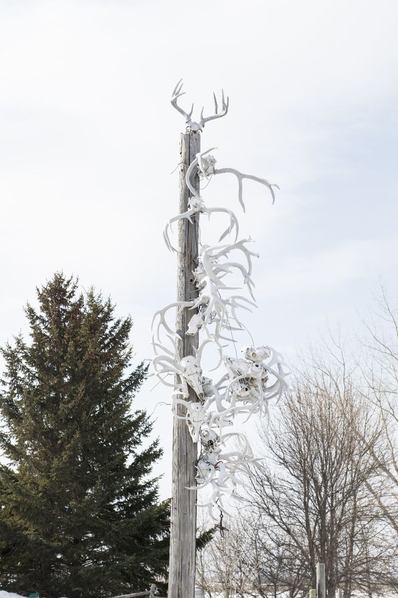 © Michela&amp;Emanuela Colombo - Image from the VII generation prophecy photography project