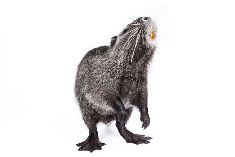 © Michela&amp;Emanuela Colombo - Image from the Aliens photography project