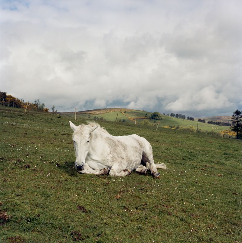 © Katharine Macdaid - Tempo, County Fermanagh