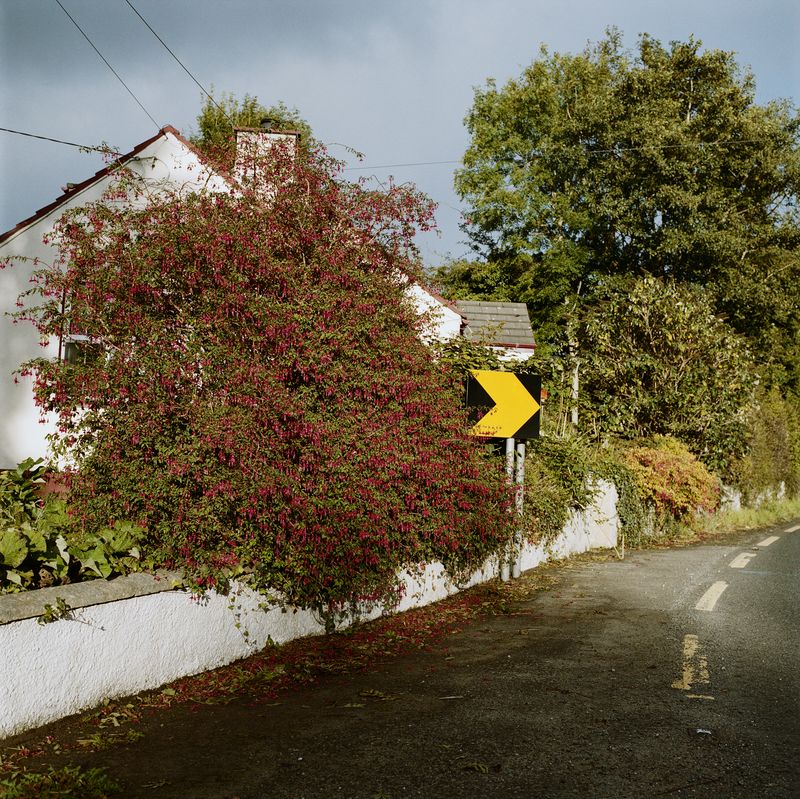 © Katharine Macdaid - Greysteel, County Londonderry