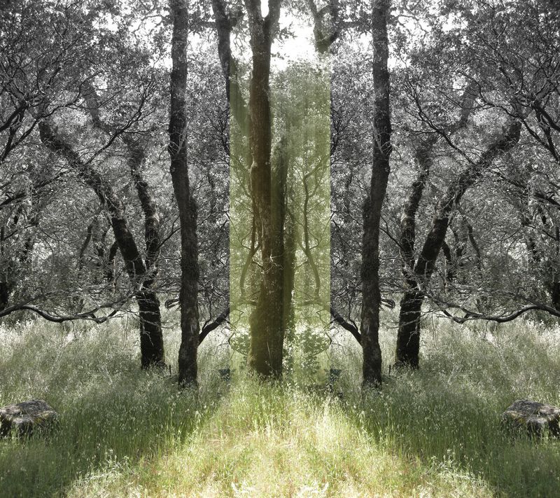 © Ellen Jantzen - from my series "Place of Departure"