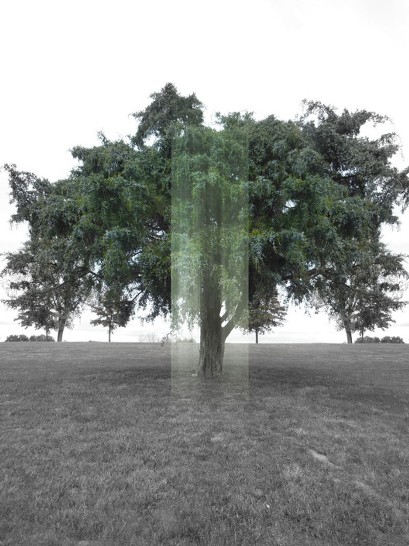 © Ellen Jantzen - from my series "Place of Departure"