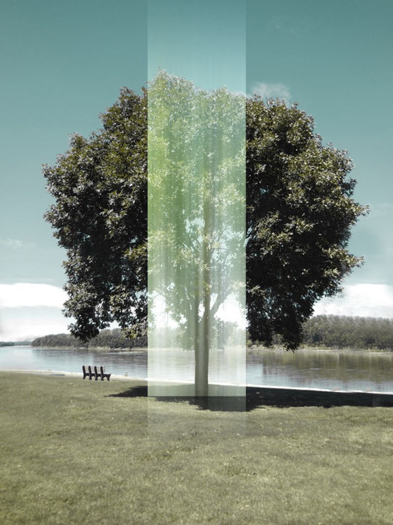 © Ellen Jantzen - from my series "Disturbing the Harmony"