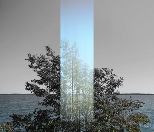 © Ellen Jantzen - from my series "Disturbing the Harmony"