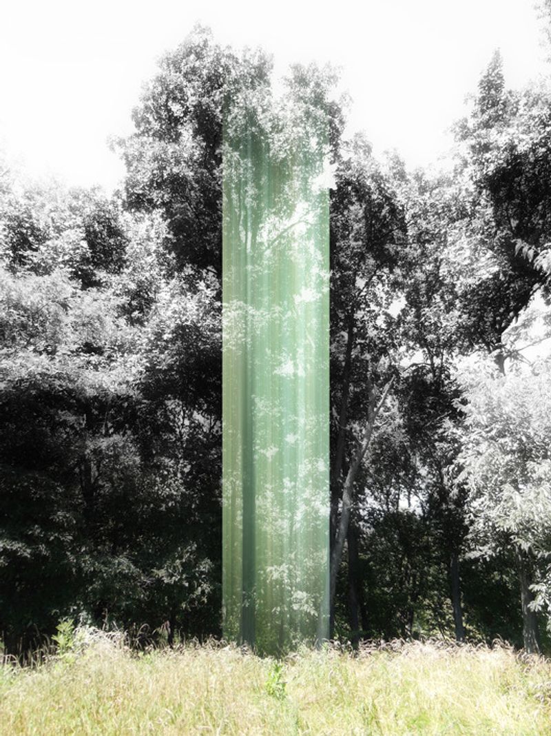 © Ellen Jantzen - from my series "Disturbing the Harmony"