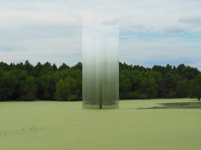 © Ellen Jantzen - from my series "Disturbing the Harmony"