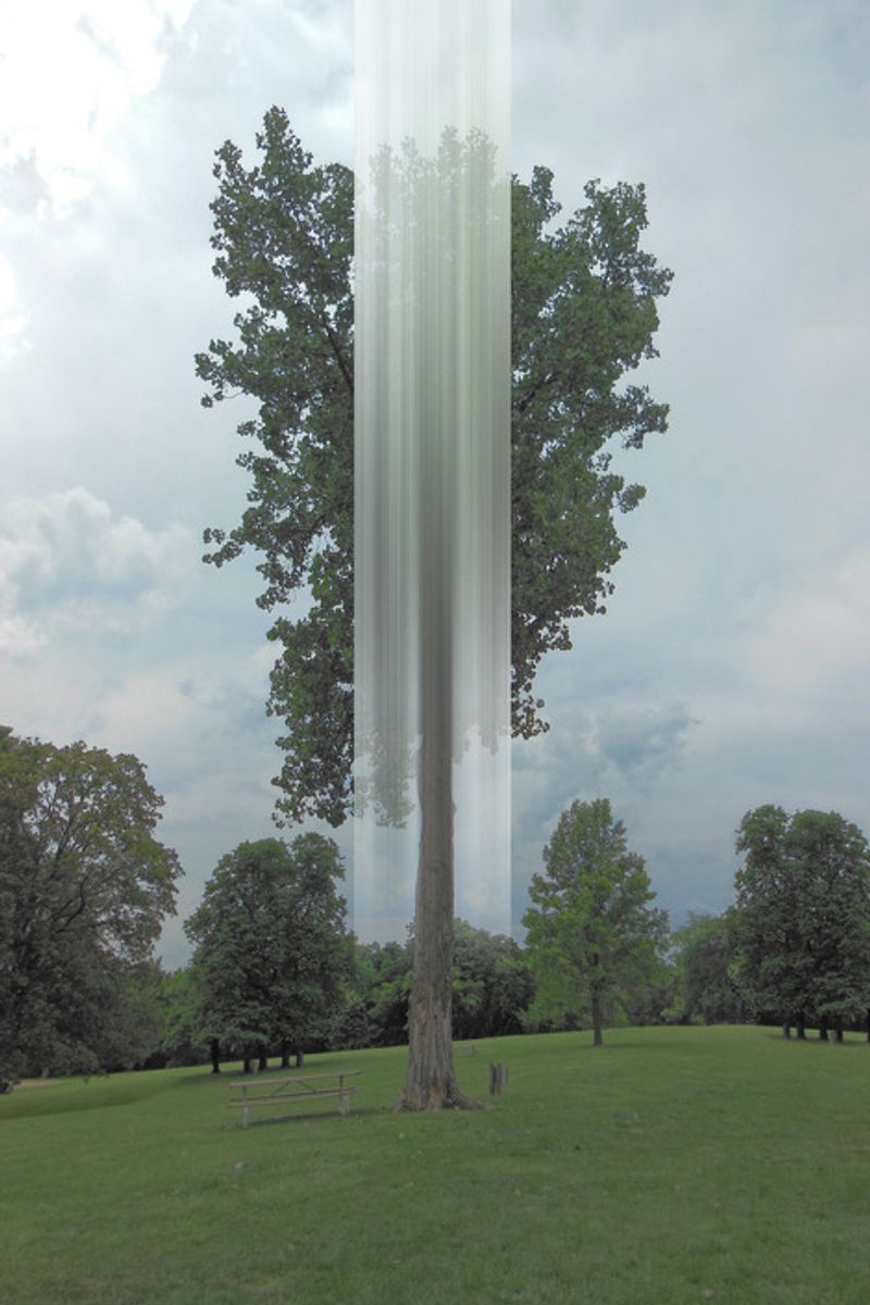 © Ellen Jantzen - from my series "Disturbing the Harmony"