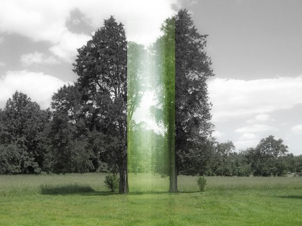 © Ellen Jantzen - from my series "Disturbing the Harmony"