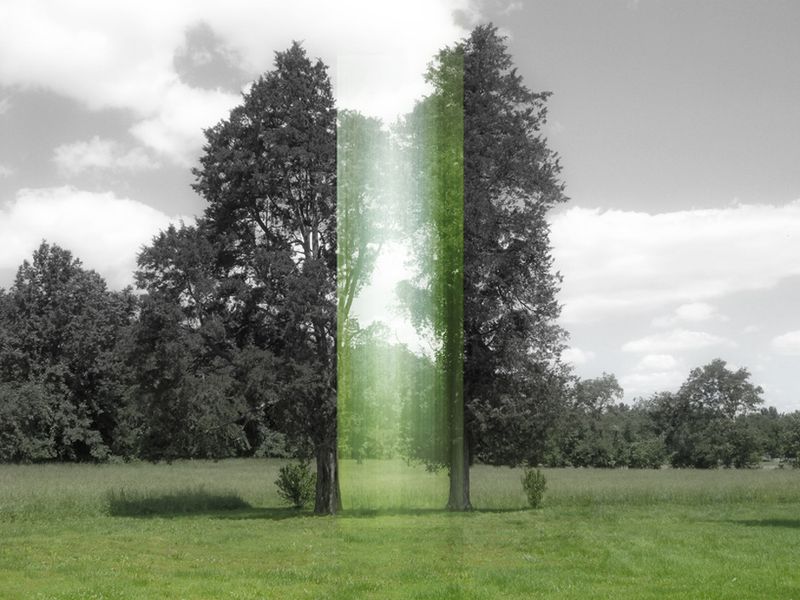 © Ellen Jantzen - from my series "Disturbing the Harmony"