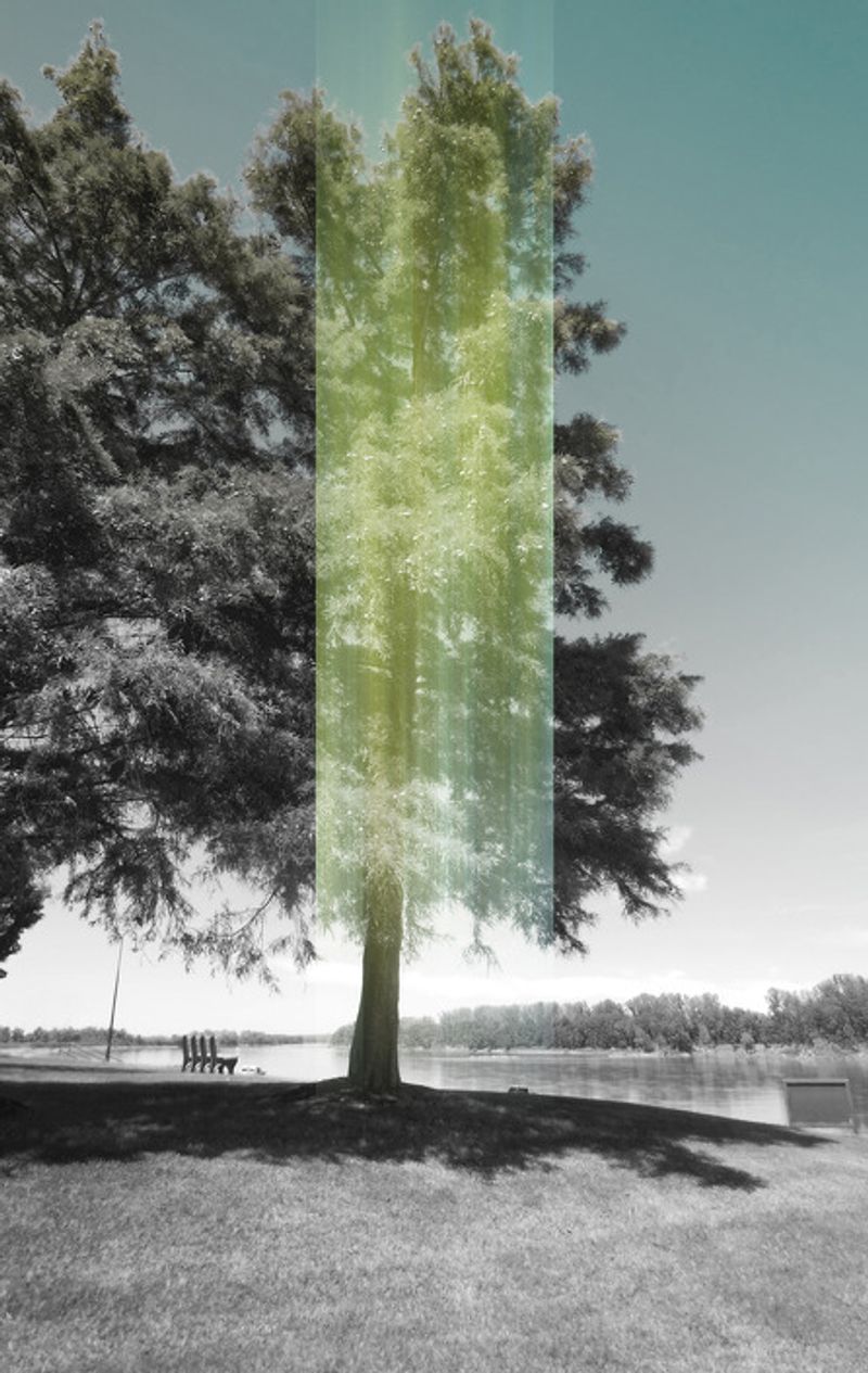 © Ellen Jantzen - from my series "Disturbing the Harmony"