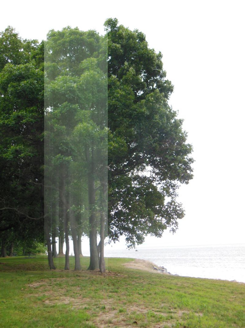 © Ellen Jantzen - from my series "Disturbing the Harmony"