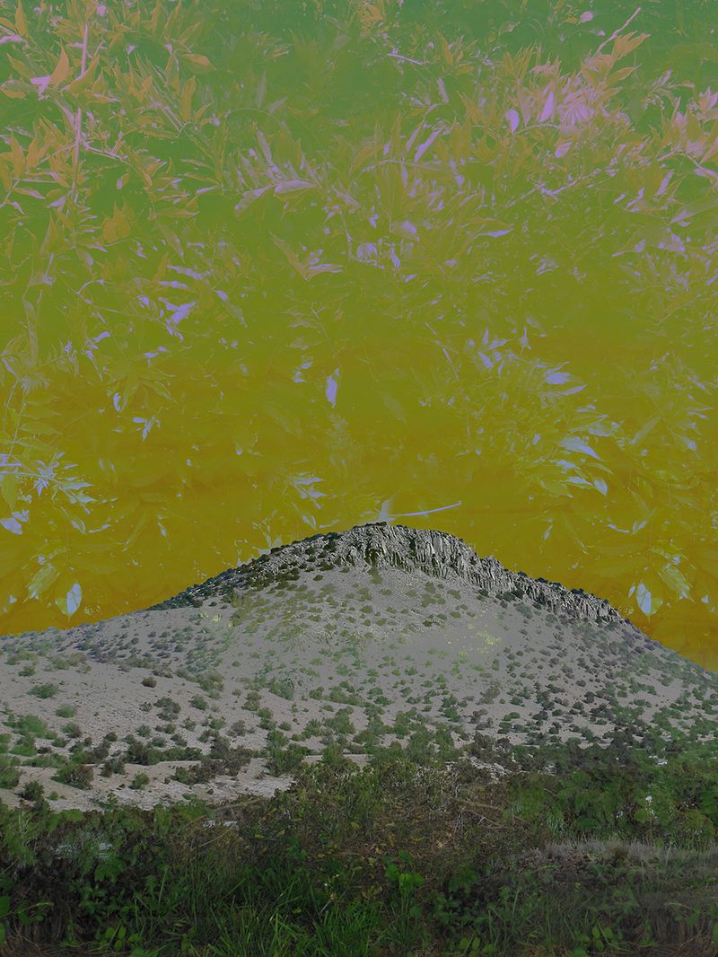 © Ellen Jantzen - Verdure