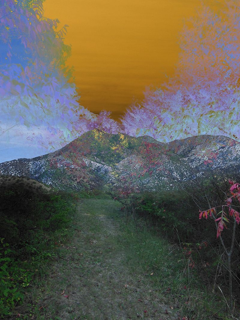 © Ellen Jantzen - MeadowView