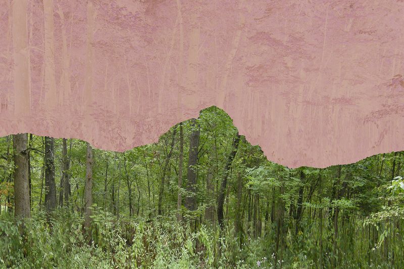 © Ellen Jantzen - Puye Profile