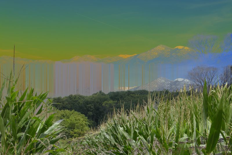 © Ellen Jantzen - TaosMaize2